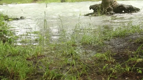 River flooding 1 Stock-Footage 51111356