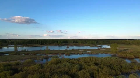 River flooding, flooded fields and forests, dawn, drone shooting Stock Footage 241317257