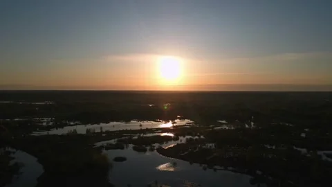 River flooding, flooded fields and forests, dawn, drone shooting Stock Footage 241323430