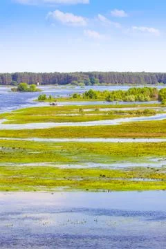 River flooding on the meadow Stock Photos