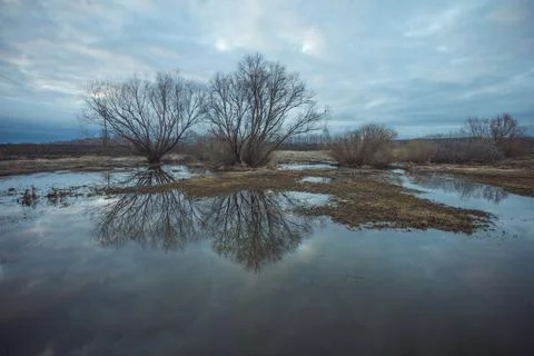 River flooding in spring in April Stock Photos
