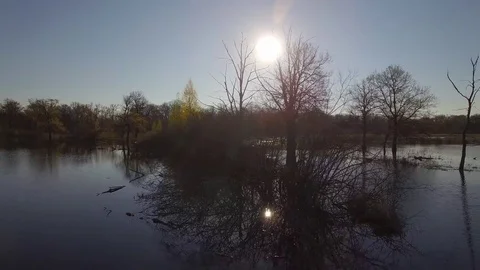 River floodplain with bushes and trees standing submerged in water on sunny day Stock Footage 77902649
