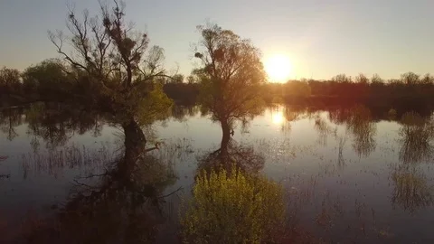 River floodplain with trees growing spring high water season 4k sunset sunrise Stock Footage 75040912