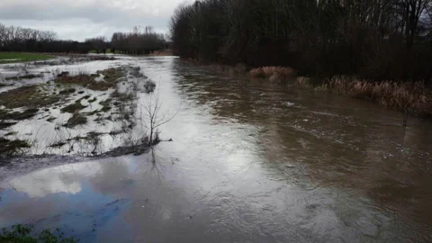River with floods Stock Footage 259729722
