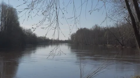 River floods in summer Stock Footage 283566101