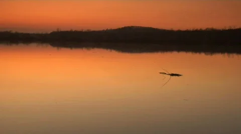 River flotsam Video stock 153516