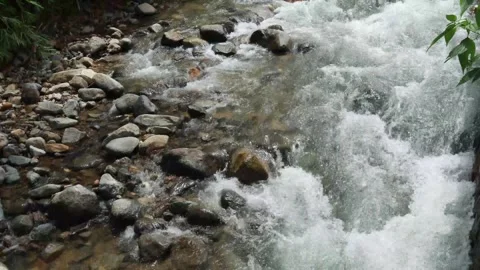 River flow (2) Video stock 279433622