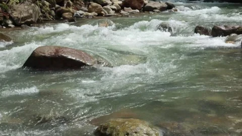 River flow (4) Video stock 279433606