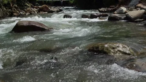 River flow (5) Stock Footage 279433604