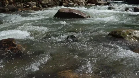 River flow (6) Stock Footage 279433663