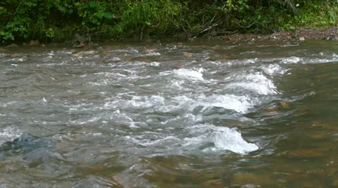 River flow after the rain Stock Footage 37547273