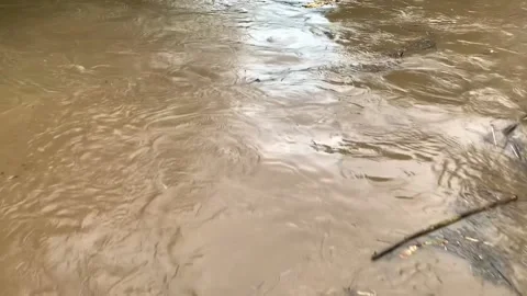 River flow after rain Stockbeeldmateriaal 232764989