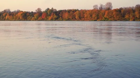 River flow against the background of the autumn forest. Video stock 146535811