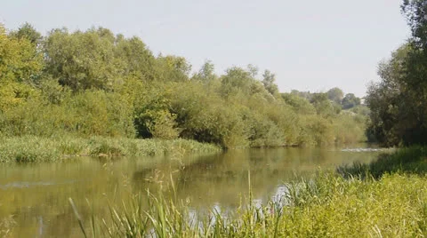 River flow along the banks with trees and grass Stock Footage 22748308