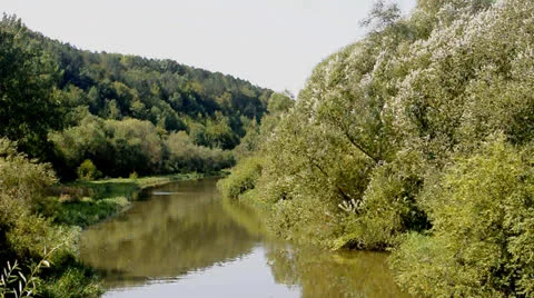 River flow along the banks with trees and grass Stock Footage 22748509