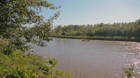 River flow along the banks with trees and grass Stock Footage 103114455