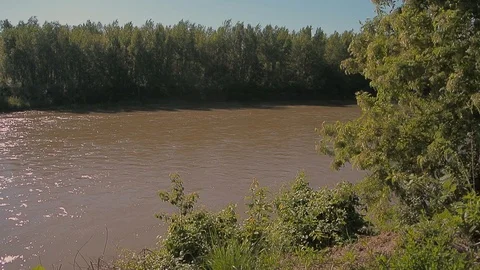 River flow along the banks with trees and grass Stock Footage 103114498