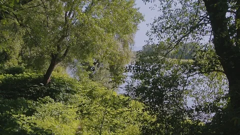 River flow along the banks with trees and grass Stock Footage 103114826