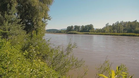 River flow along the banks with trees and grass Stock Footage 103115230