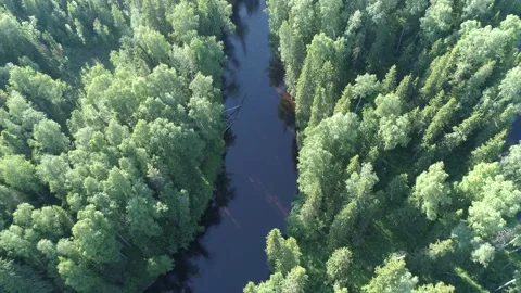 River flow among the forest in Siberia. Aerial view Stock Footage 280988443