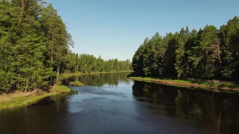 River flow among the taiga forest in Siberia Stock Footage 302207926