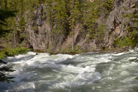 River flow and forest central Oregon. Stock Photos