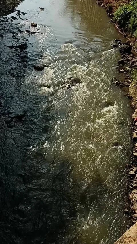 River Flow and Rocks in it Stock Footage 258590378