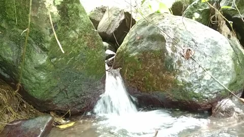 River Flow Around Mossy Rocks | Clear Stream in Lush Green Forest Stock Footage 330546080