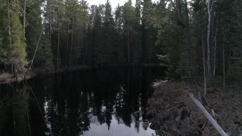 River flow at a bend. Taiga, Siberia. Moving camera Stock Footage 281075610