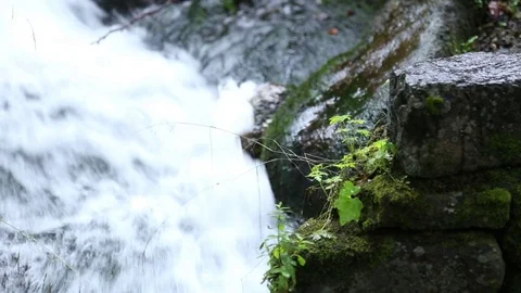 River flow is broken into stones Vídeo Stock 76232765