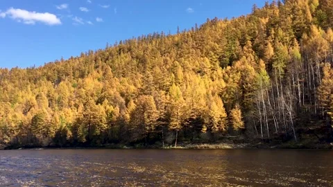 River flow. Chulman river in autumn in Neryungri (South Yakutia, Russia) 스톡 동영상 222721043