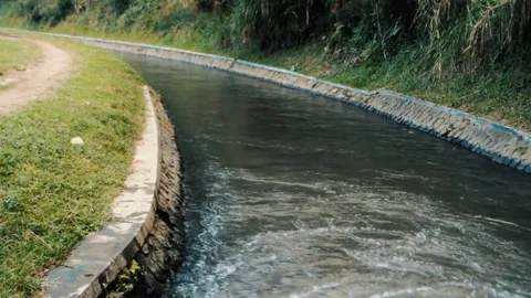 The river flow is clear and fresh Stock Footage 276866489