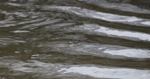 River flow, close-up, 4K Stock Footage 228878815