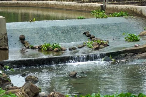 The river flow is dammed Foto stock