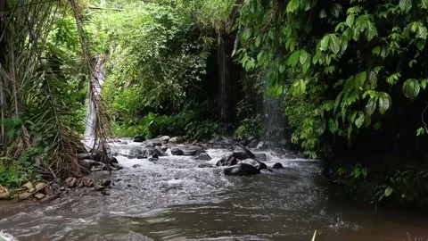 The river flow is fast and clear Stock Footage 294979090
