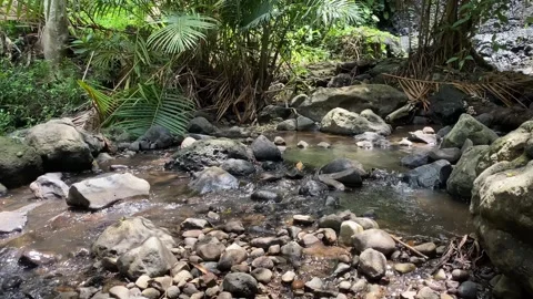 The river flow is fast and clear Stock Footage 294981391