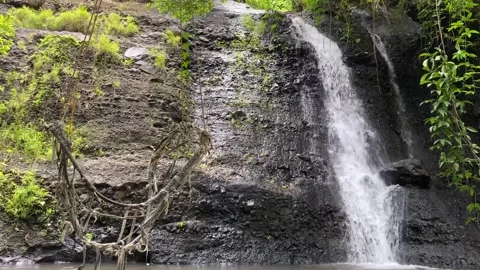 The river flow is fast and clear Stock Footage 294981495