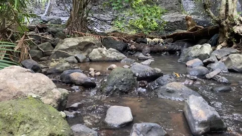 The river flow is fast and clear Stock Footage 294981517