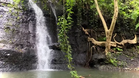 The river flow is fast and clear Stock Footage 294981545