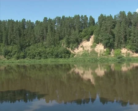 River flow flora shadow Stock Footage 10766909