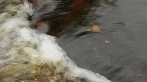 River flow Stock Footage 10579112