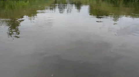 River flow 動画素材 52077202