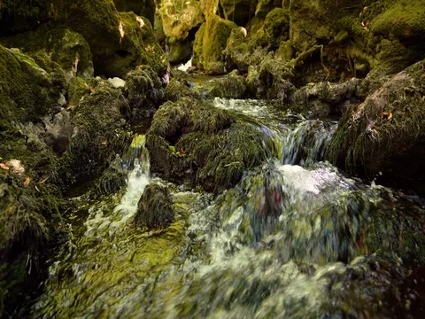 The river flow 스톡 동영상 80798031