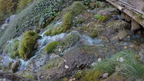 River flow Stock Footage 81470510