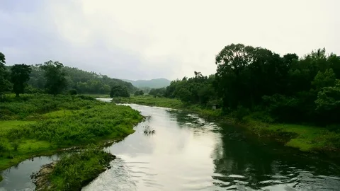 River flow Видео 81540766