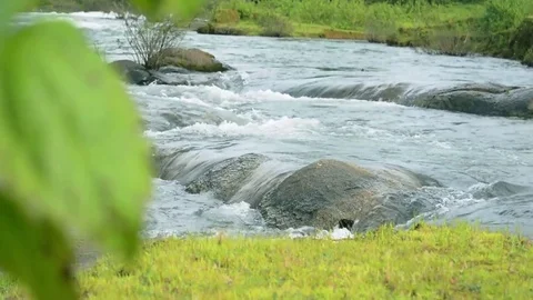 River flow Видео 81540830