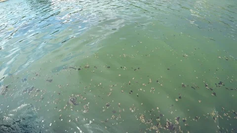 River flow Stock Footage 93798681