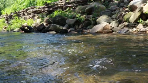 River flow Stock Footage 131402699