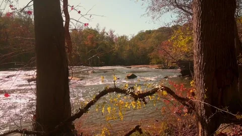 River flow Stock Footage 143616909