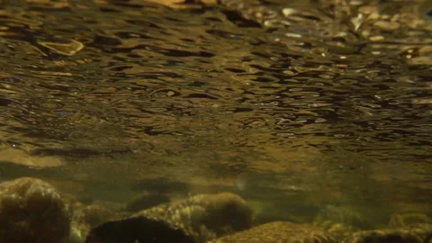 River flow Stock Footage 143776800